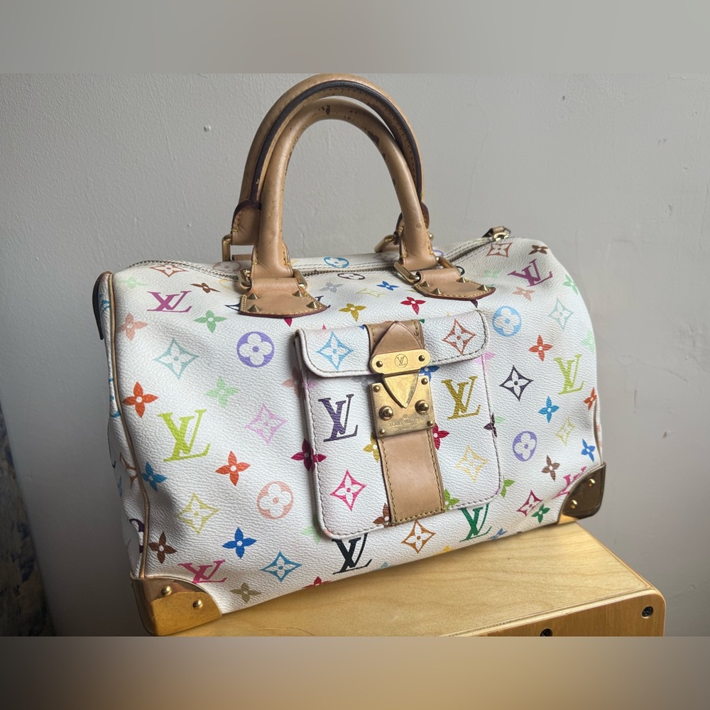 Multicolor Louis Vuitton Speedy
